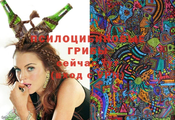герыч Алексин