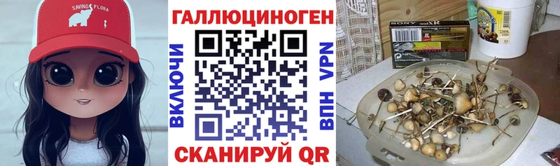 Псилоцибиновые грибы Psilocybine cubensis сайты даркнета клад Евпатория